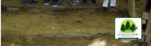 2_1