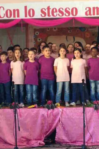 18951137_1460730180658061_8383147574111388494_n