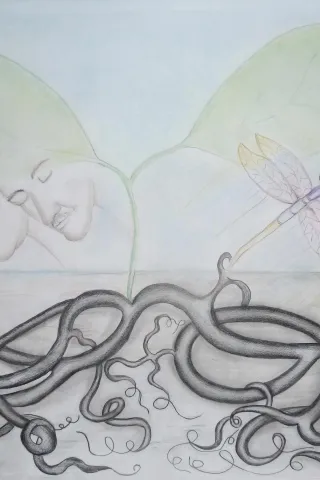 la_libellula_completo