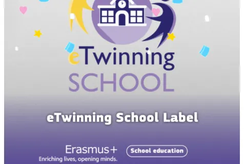 immagine_2023-05-17_175426