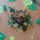 img-20151110-wa0013