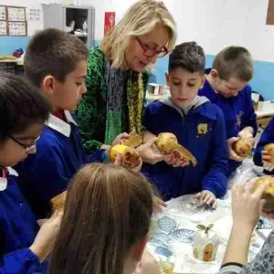 912667_10206656242417170_2013365908_n