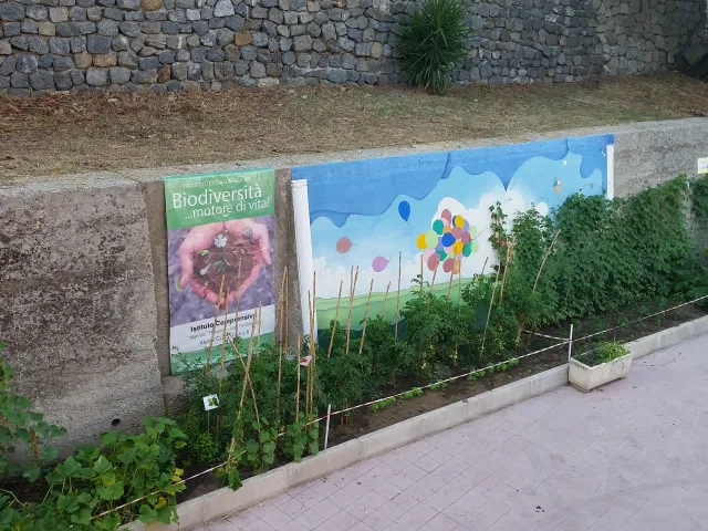 Biodiversità....Motore di Vita