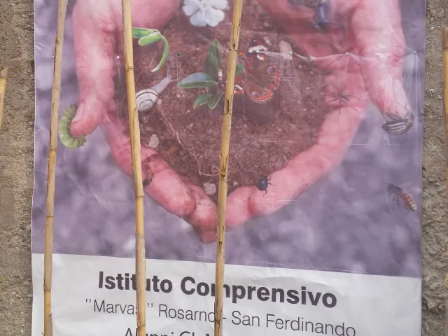 Biodiversità....Motore di Vita