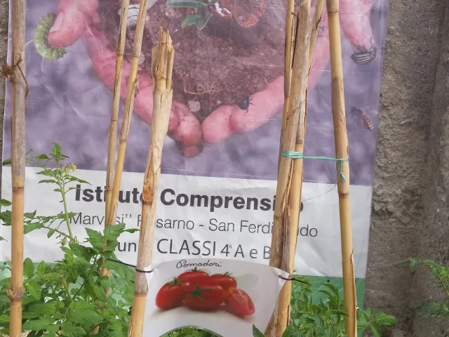 Biodiversità....Motore di Vita