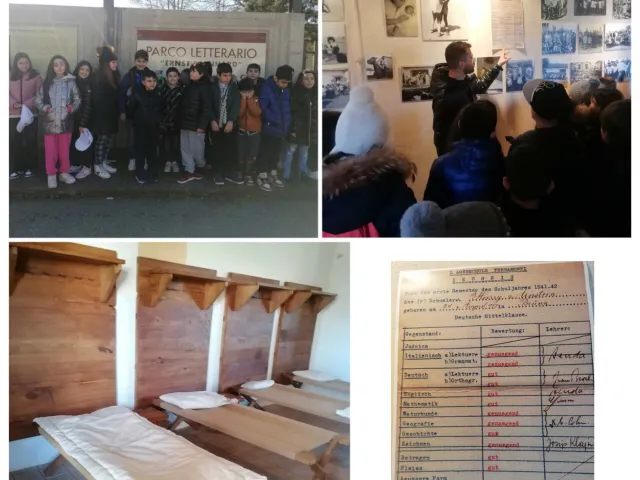 Collage con foto di gruppo e attività