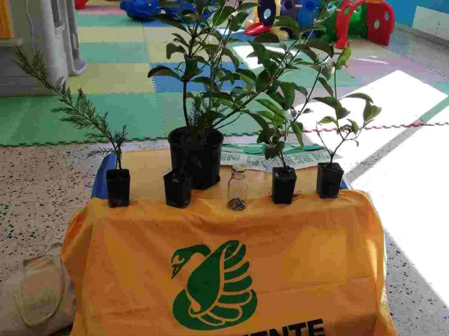 SEMINARE PER DISSEMINARE