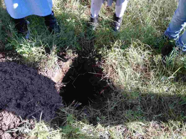 SEMINARE PER DISSEMINARE