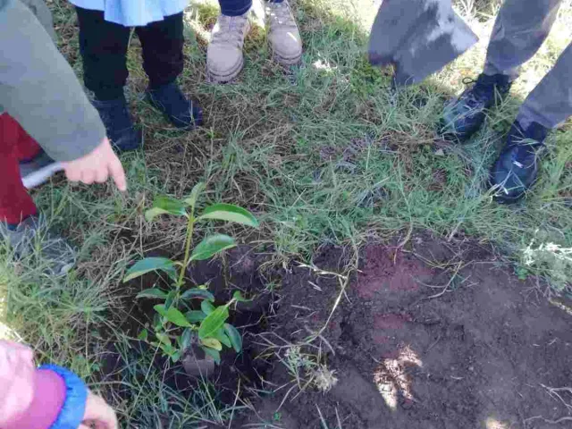 SEMINARE PER DISSEMINARE