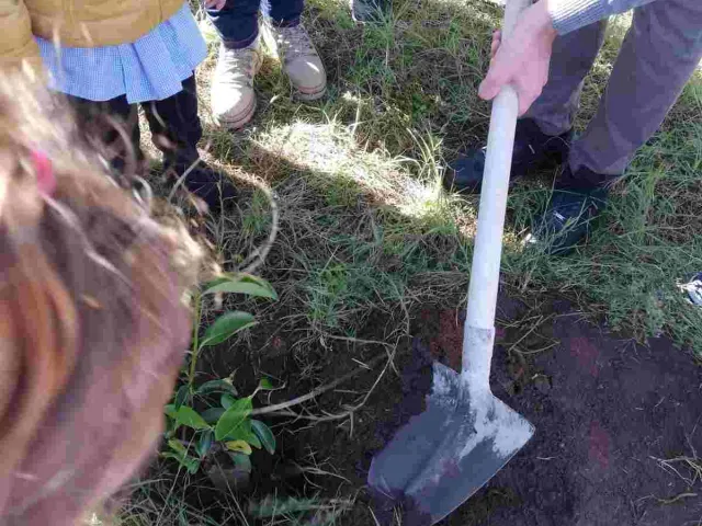 SEMINARE PER DISSEMINARE