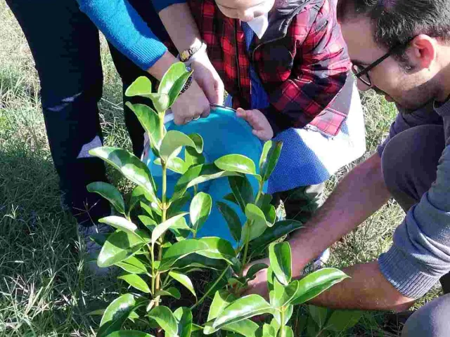 SEMINARE PER DISSEMINARE