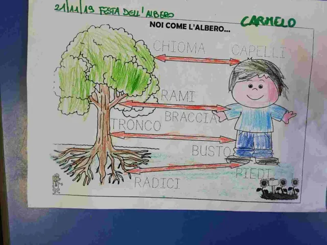 SEMINARE PER DISSEMINARE