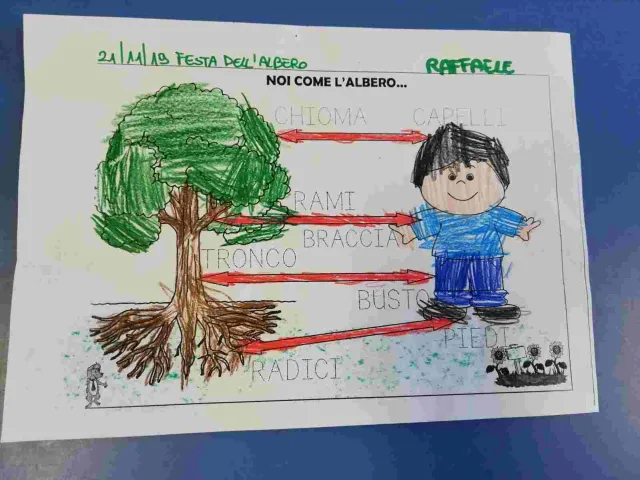 SEMINARE PER DISSEMINARE