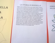 Il libro della storia di Rossella