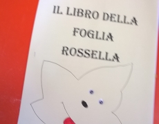 Il libro della storia di Rossella 